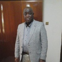 Hassan M Bangura
