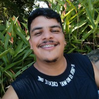Carlos Henrique Damous