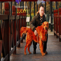 Hui Gong
