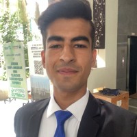 Vivek Singh Bhadauriya