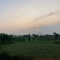 Jyothi Bala