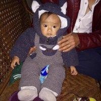 黄兴德