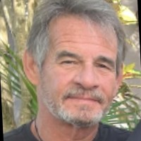David Lovering