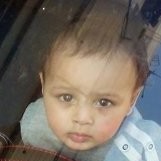 mohamed hassan shawky