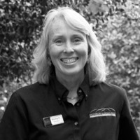 Martha Regester