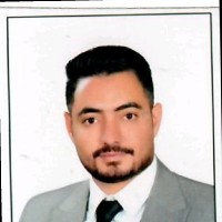 Amr Fouad