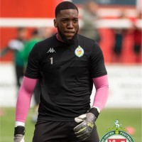 C Emmanuel Nwosu