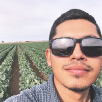 Daniel Gerardo