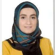 Sultan Çakir Demi̇rezen