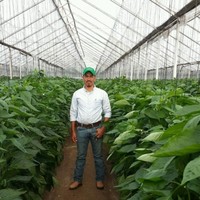 Walter Manuel Bonilla Ruiz