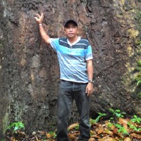 Psisal Marsus