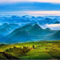 张晓庆