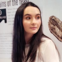 Diana vasile