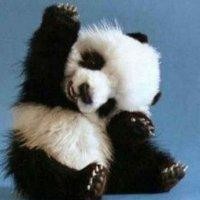 王旭更
