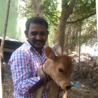 Balamurugan Rajaraman