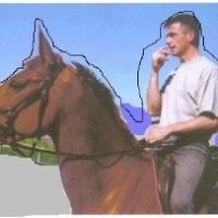 Gabriel De Brébisson