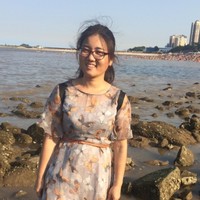 何少文