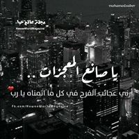 Rofaida Elazazy