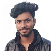 Nived P S