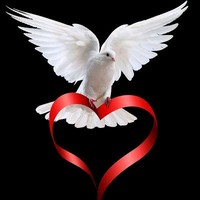 Archana G S