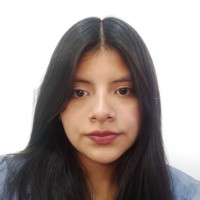 Pamela Nicole Mamani Taipe