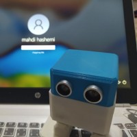 Mahdi Mohammad hashemi