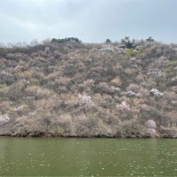 Hong Yu