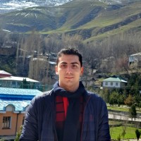 Moein Omidghaemi