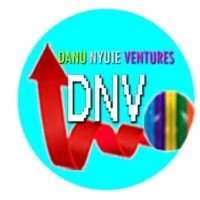 DN Ventures