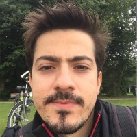 Birtan Gültekin