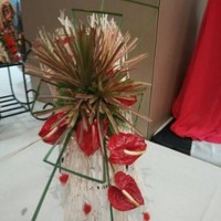 Kaveri Rath