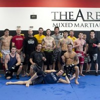 The Arena