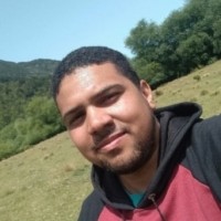 Luiz Fernando Lima Avelar