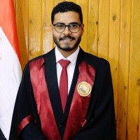 hassan elsayed 📊