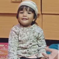 Mehmood Rashid