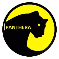Team Panthera