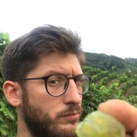 Martino Tormena