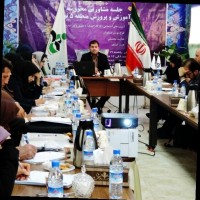Javad Amani