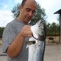 Piero Bianco
