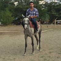 Bedirhan Tetik