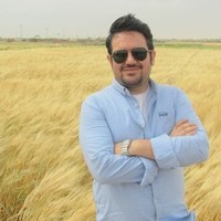 Meysam Chegini