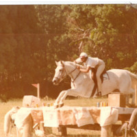 Tracy Whiteing