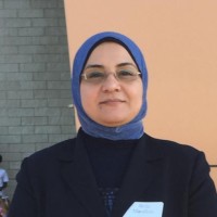Reda Mesallam