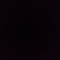 Paulo Ricardo Ferrera