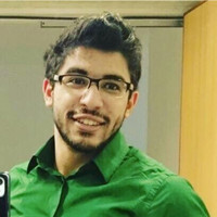 Ali Elkomy
