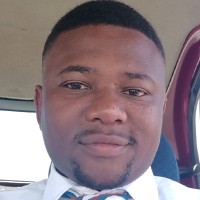 Onke Ndzondzo