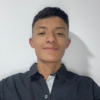 Ronal Felipe Vanegas Diaz