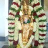 Nattarasan Ns Checking Global