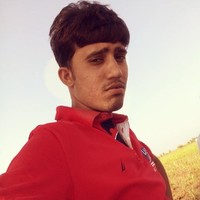 Raj Patel