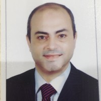 Said Lotfy Elhawary